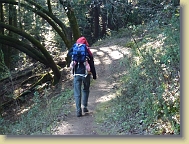 Hiking-NewYear-Jan2013 (9) * 4320 x 3240 * (6.05MB)